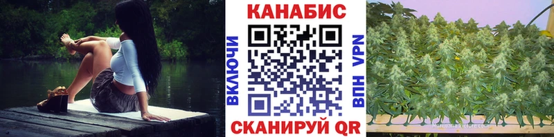 Купить закладки  Муром  МАРИХУАНА VHQ 